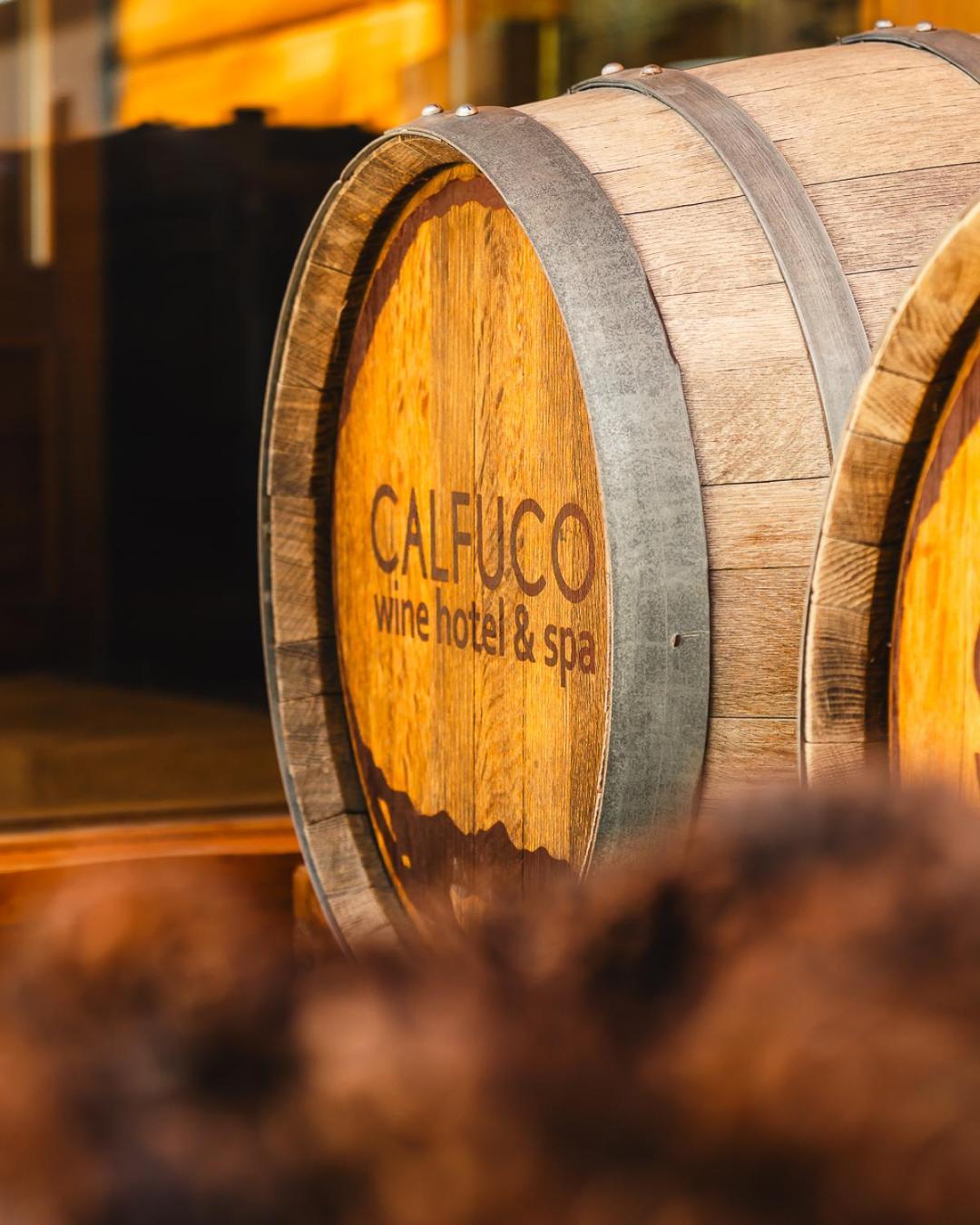 Puerto Manzano Calfuco Wine Hotel & Spa מראה חיצוני תמונה